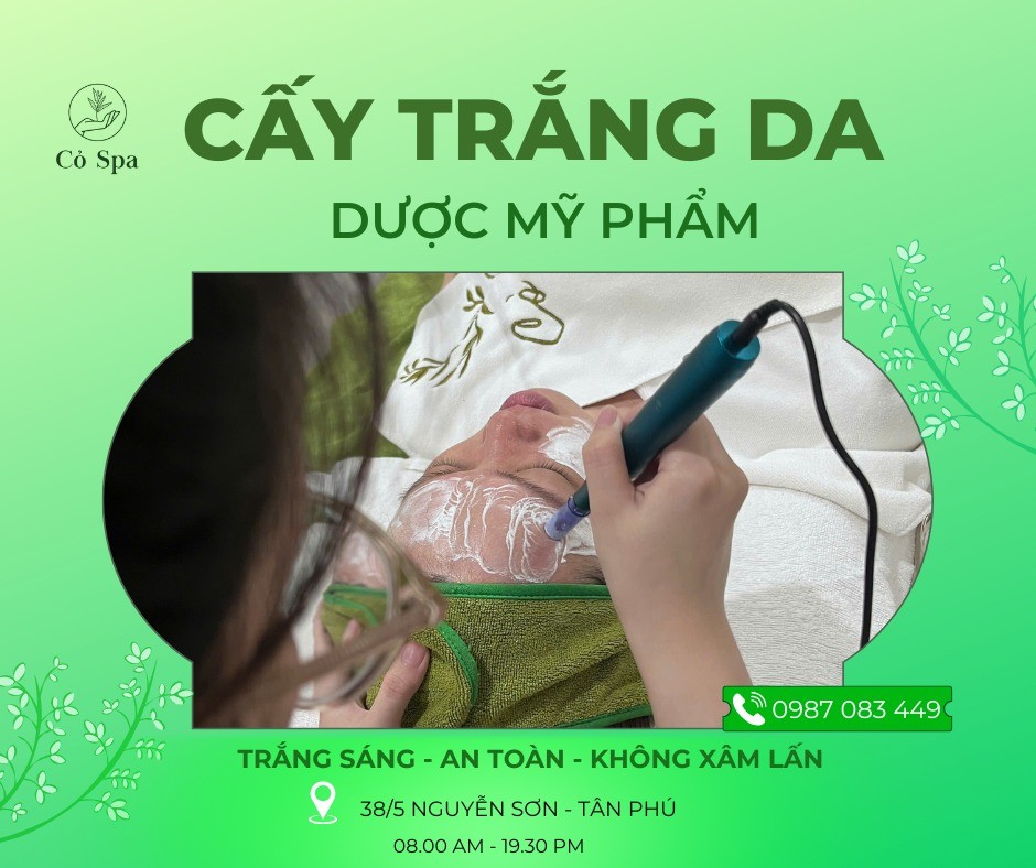 Cay Trang Da